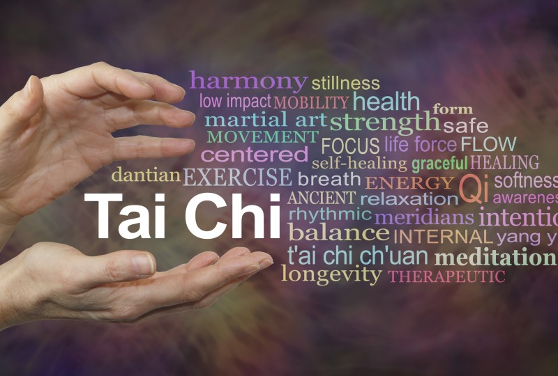 Tai Chi - De Pol (dinsdag, 8:30)