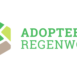 Adopteer Regenwoud