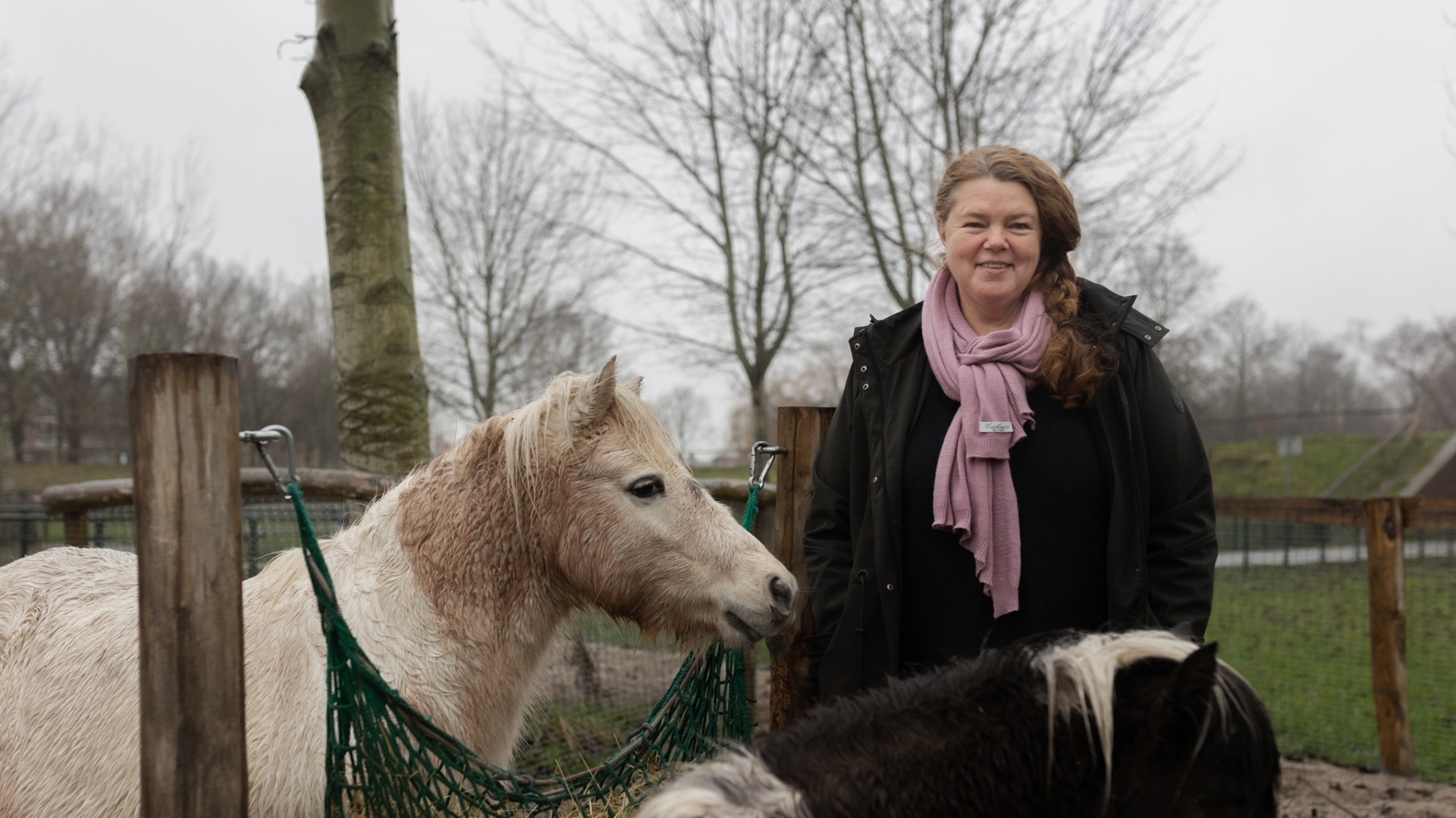   ‘Carbid, waarom moet dat híer, bij de dieren?’