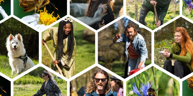 The Pollinators: Voedselbos aanleggen & planten