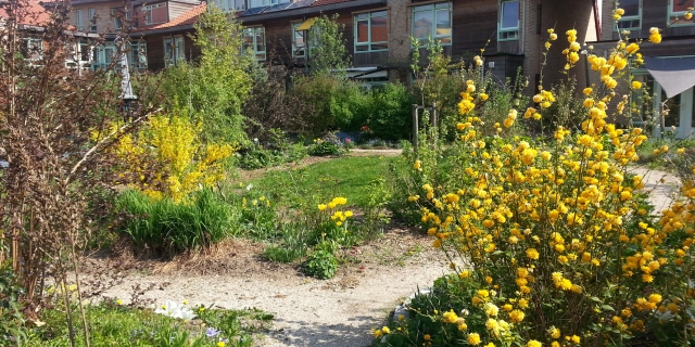 MMWZ Stadshagen: Tuinonderhoud & houtwerk verzorgen