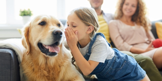 Een veilig thuis voor dieren