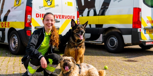Dierenbescherming