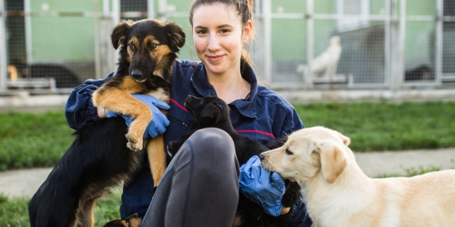 Zwols Dierenasiel