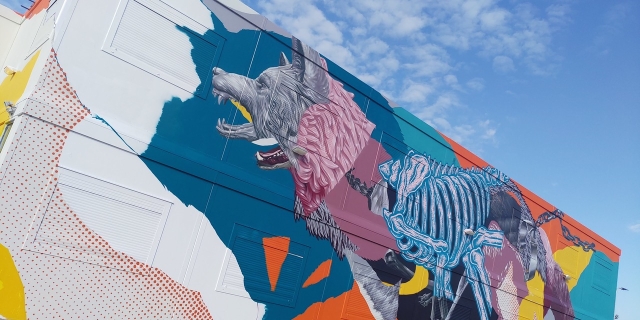 Trotse muren: kunst toegankelijk voor iedereen