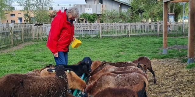 Dierenweide Kakel & Co