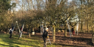 Buurtweide De Wollewei