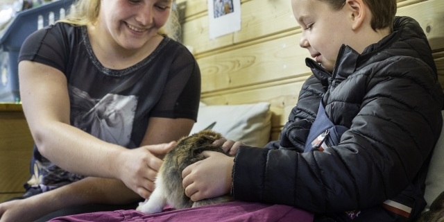 Stichting de Knuffelkonijntjes
