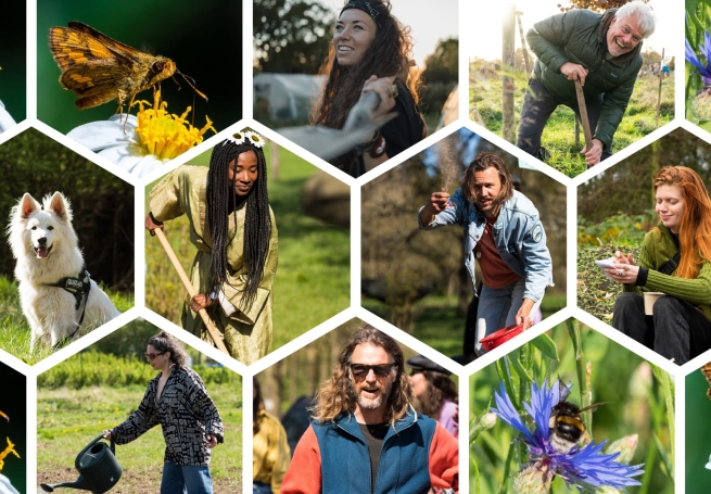 The Pollinators (Vrijwilligersklus JijDoet)