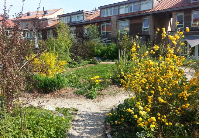 MMWZ Stadshagen (Vrijwilligersklus JijDoet)
