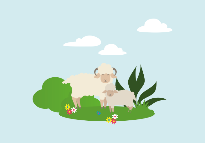 Het Schaap