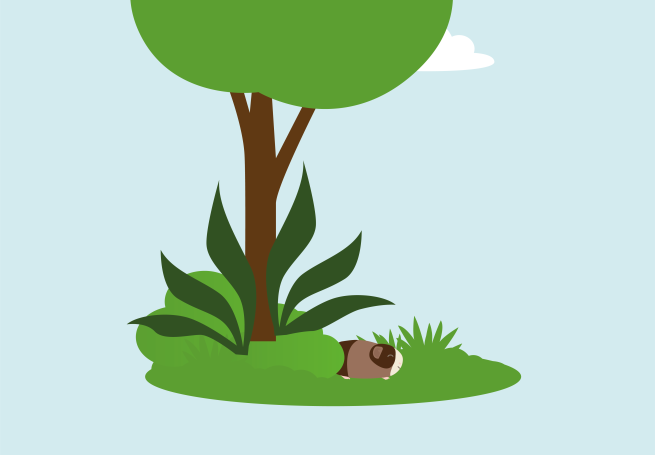 De Cavia