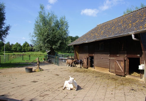 Stichting Wijkgemeenschap Aa-landen/Aa-weide (Vrijwilligersklus JijDoet)