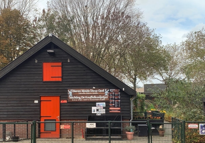 Stichting de Knuffelkonijntjes (Vrijwilligersklus JijDoet)